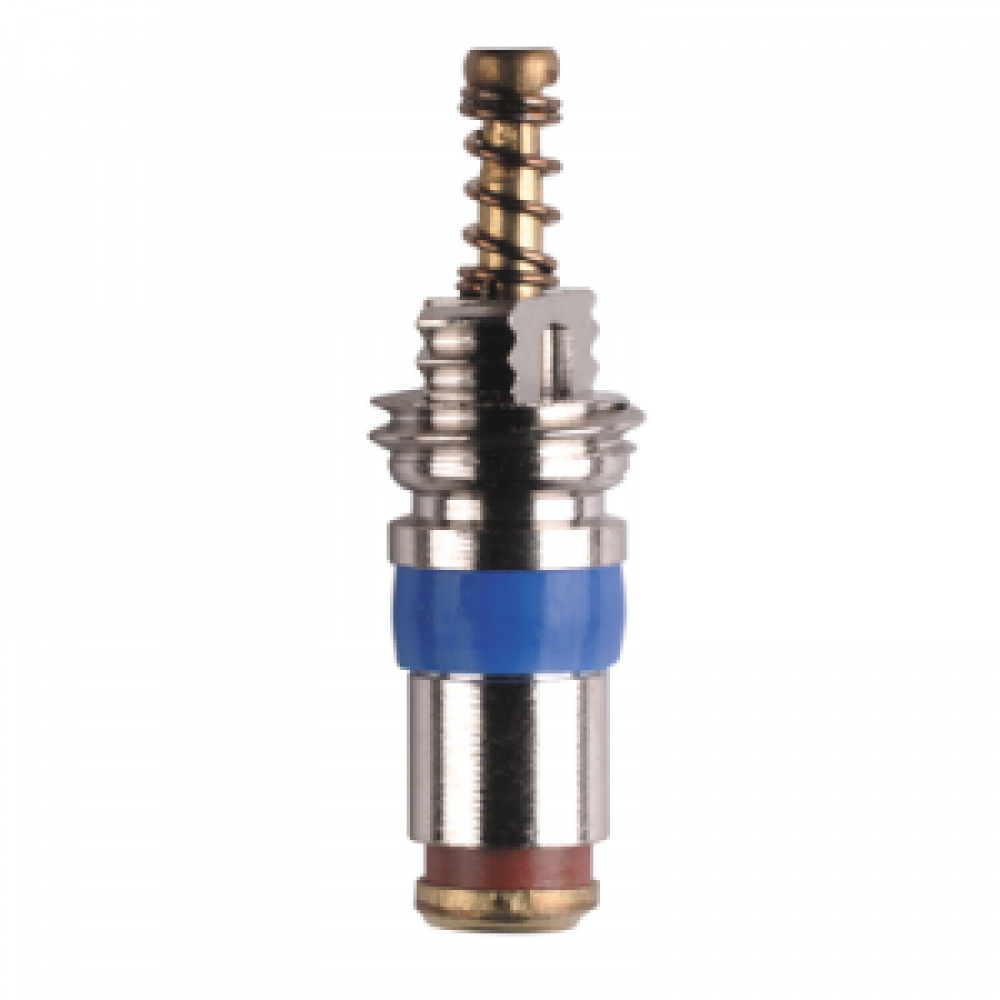 SCHRADER VALVE INSERT (x10)