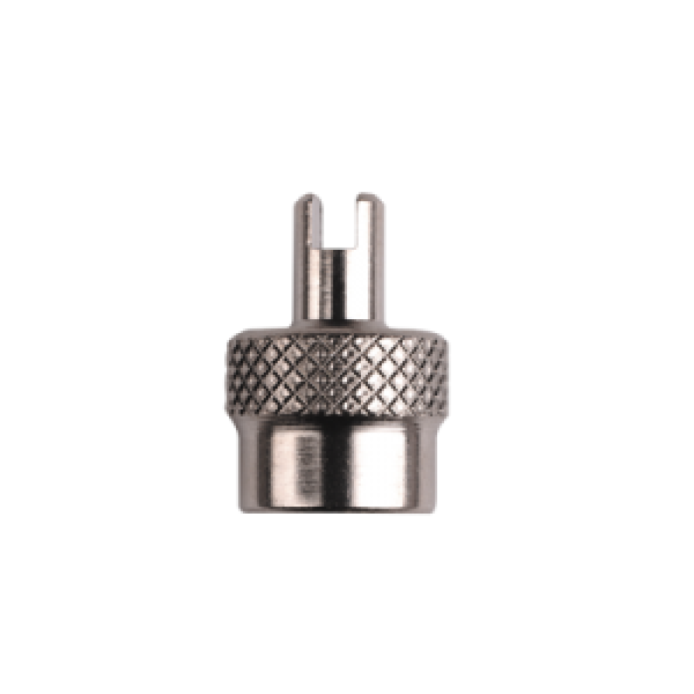 SCHRADER VALVE CAP + KEY (x10)