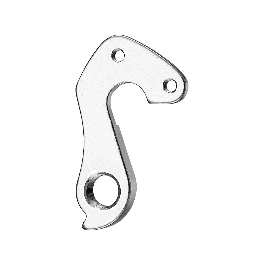 UNION DROPOUT GH-204 - FOCUS RALEIGH (GESWMD174)