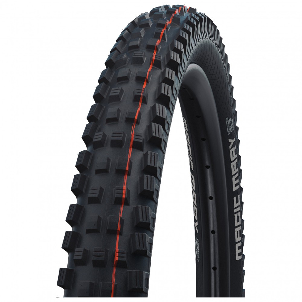 SCHWALBE 29