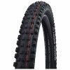 SCHWALBE 29
