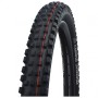 SCHWALBE 29