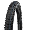 SCHWALBE 29
