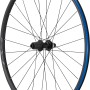 SHIMANO RS171 700c 10/11-SPD RR WHEEL 12 x 142 C/L Blk 28-42