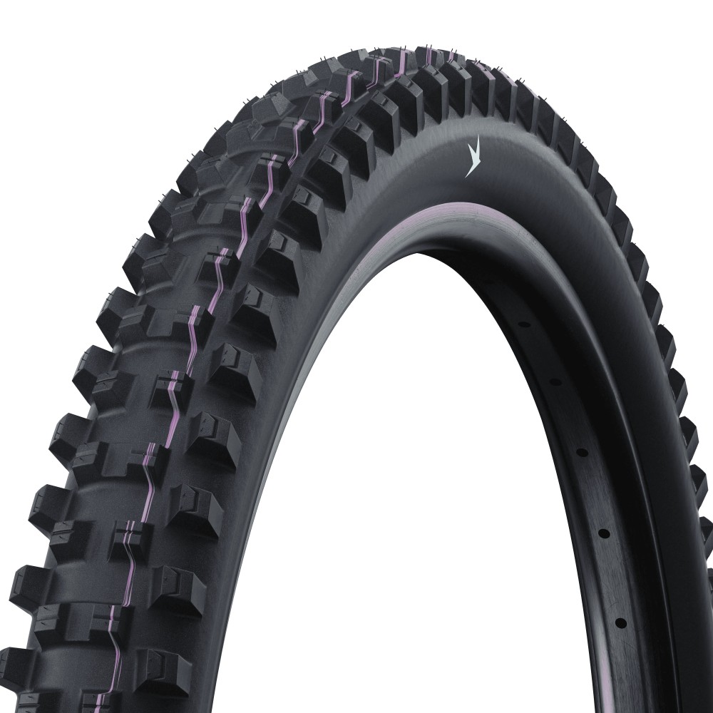 SCHWALBE 29