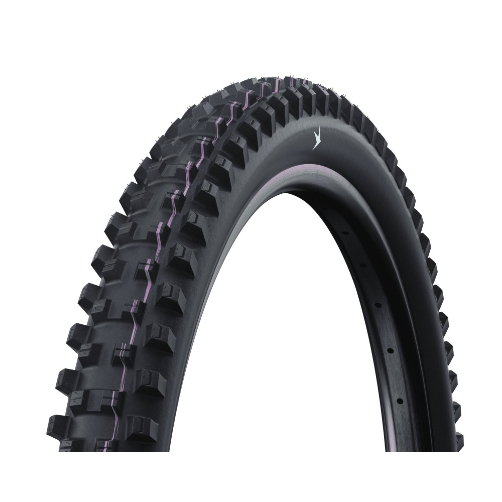 SCHWALBE 29