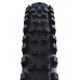 SCHWALBE 29