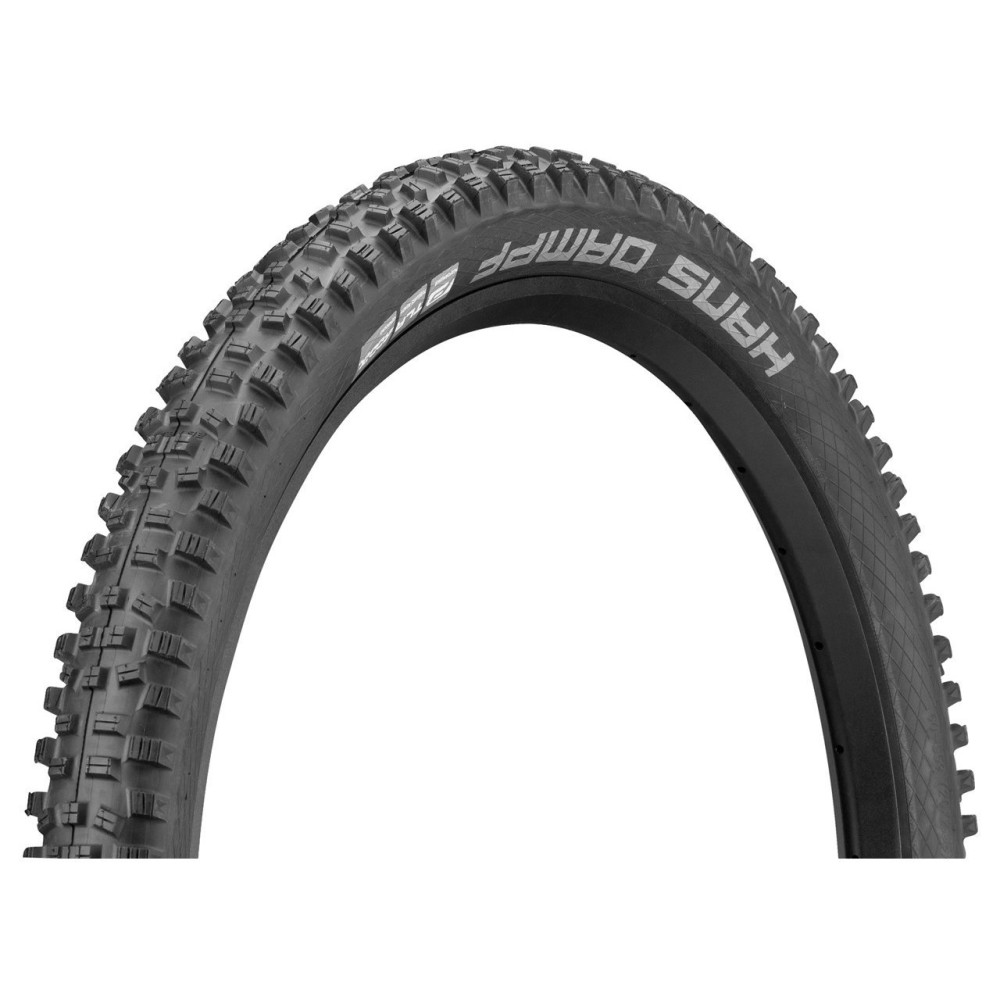 SCHWALBE 29