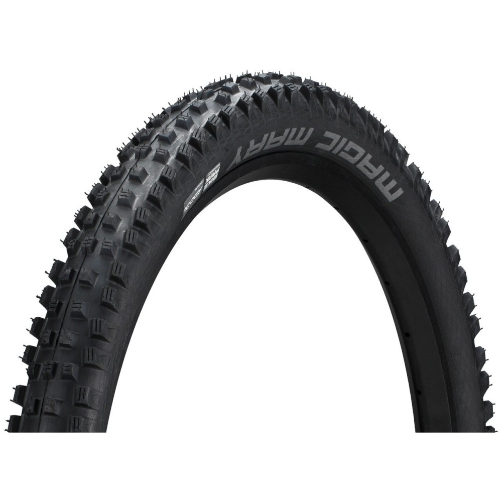 SCHWALBE 29