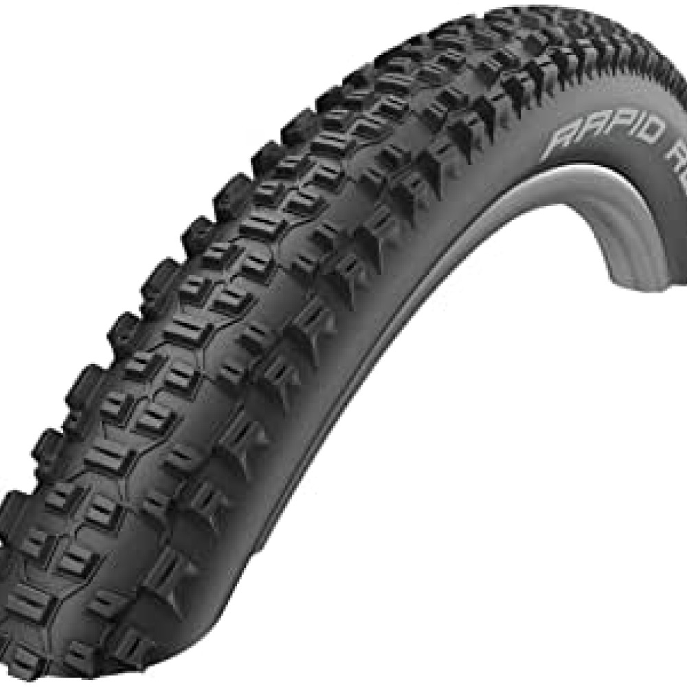 SCHWALBE 29