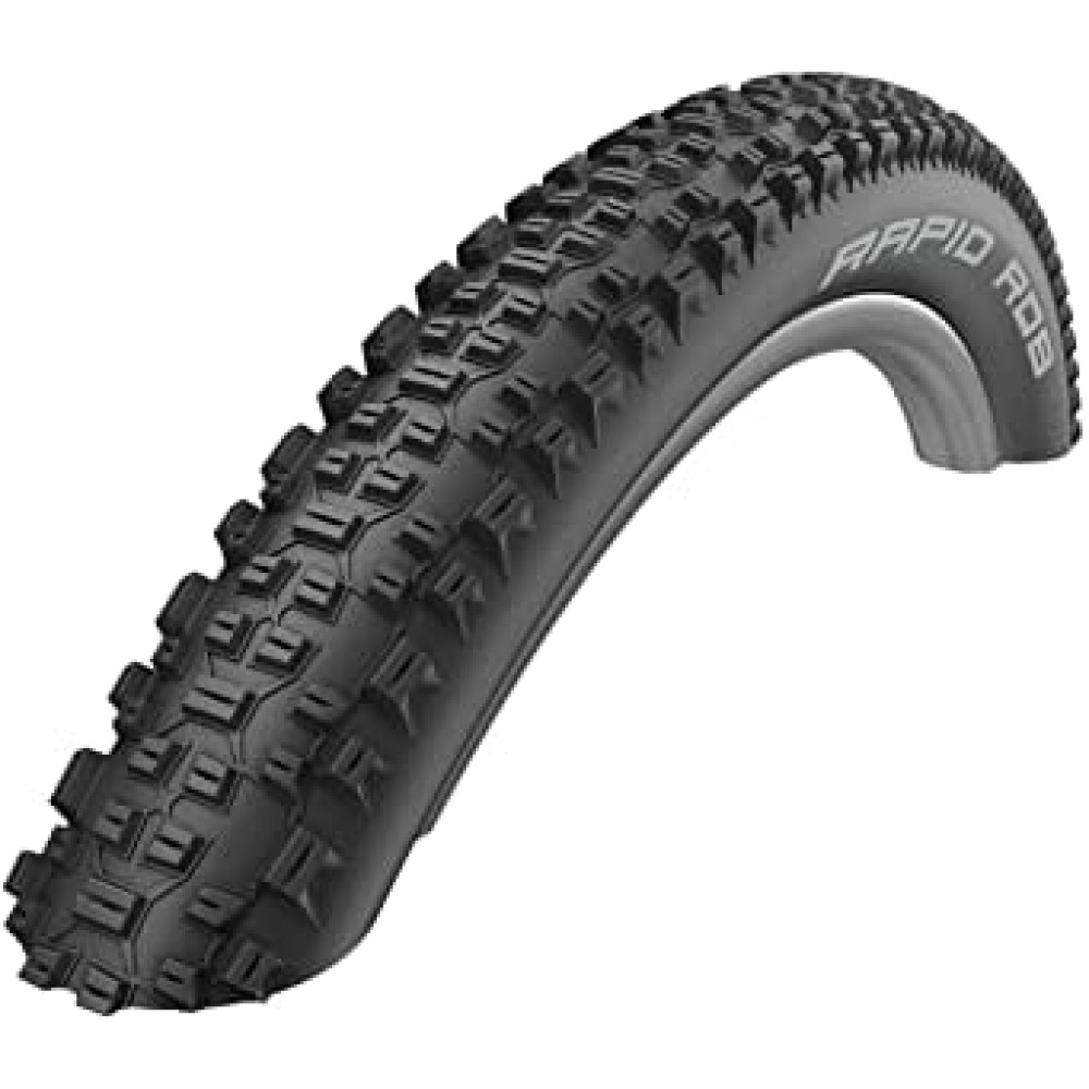 SCHWALBE 29