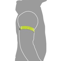 OXFORD LED ARM BAND (RE853)