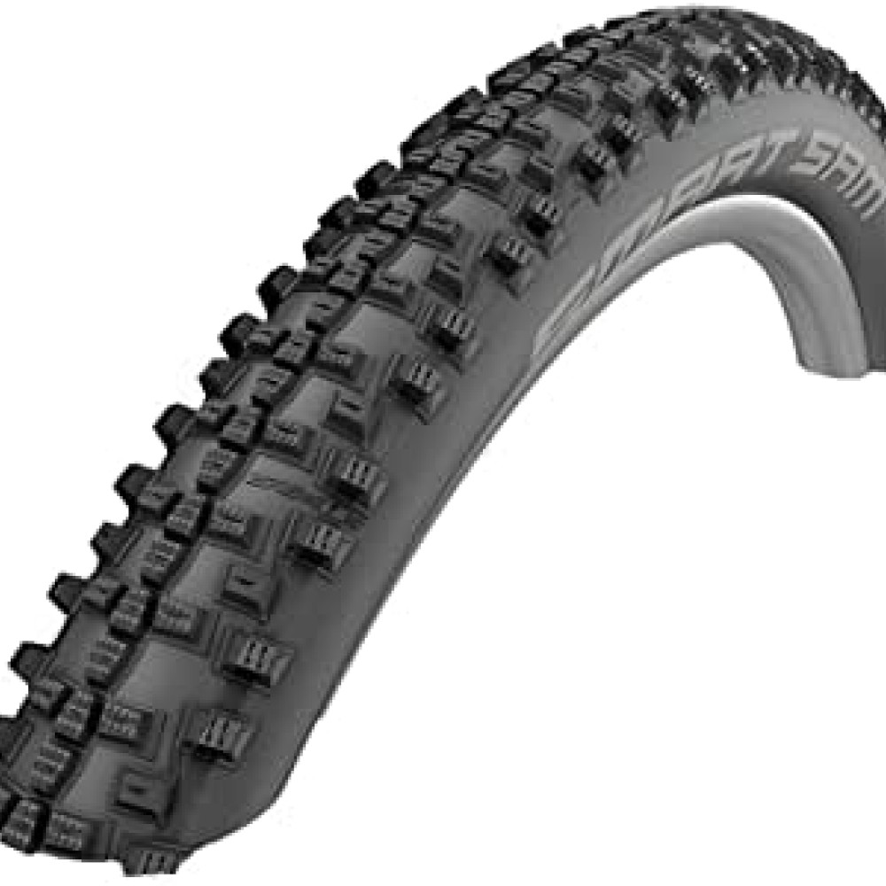 SCHWALBE 29