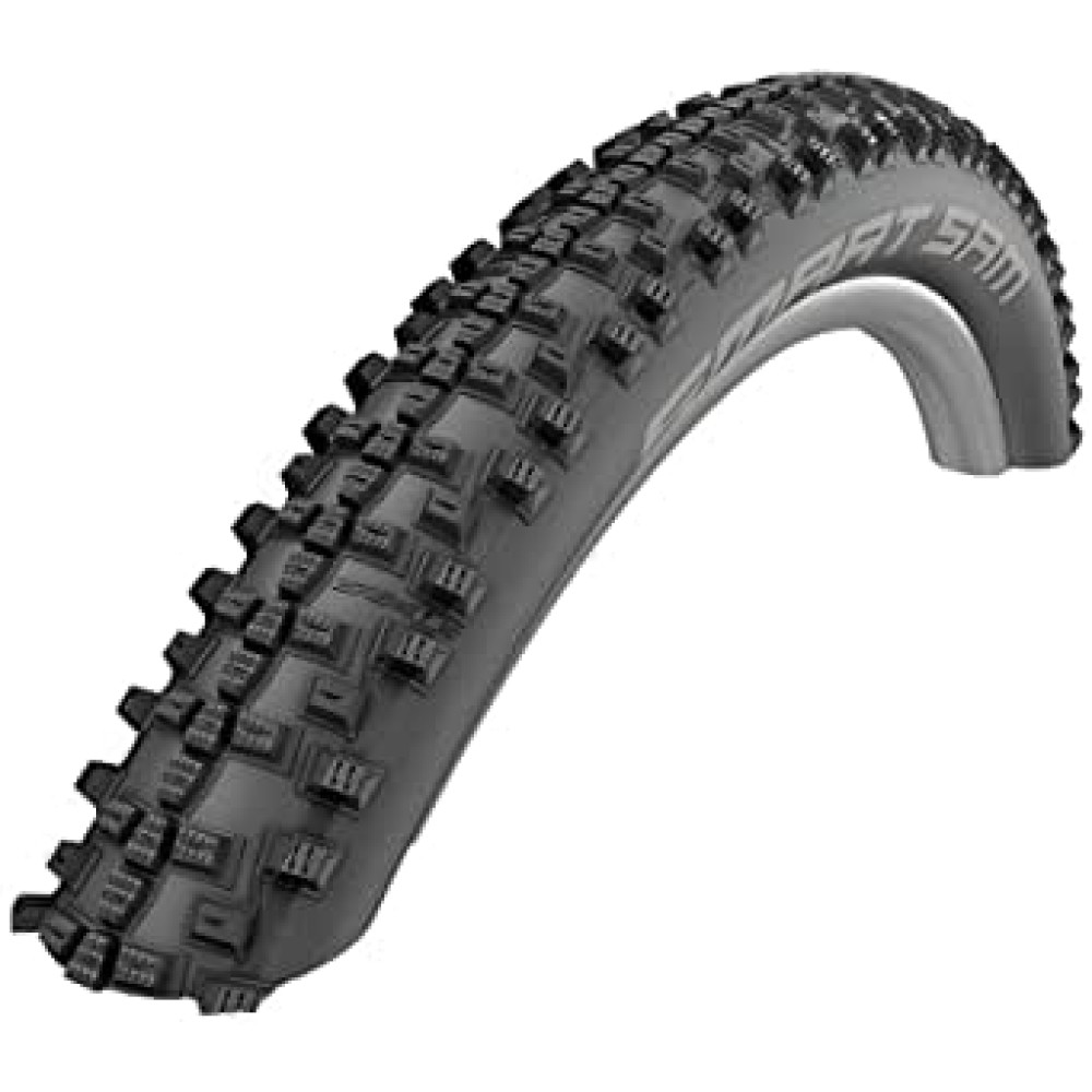 SCHWALBE 29